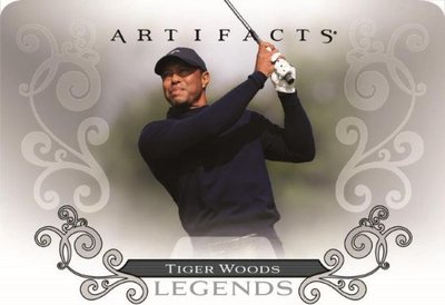 Tiger Woods #1